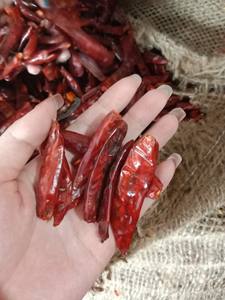 Piment rouge séché à haute pungence, qualité d'exportation, poivre rouge naturel pour la vente en gros, commerce d'épices, marché mondial standard - Product Image 4