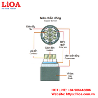 Le câble de commande examiné par cuivre de LiOA DVV/Sc-30xC-0.6/1kV 30 noyaux a protégé la diverse zone nominale noire résistante à la chaleur de conducteur