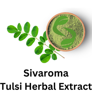 Polvo de Extracto Seco de Tulsi Estandarizado para Uso Profesional en la Producción de Productos Herbales y Nutracéuticos - Product Image 1