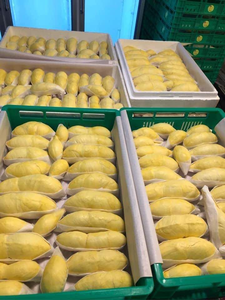 VDELTA OEM Fresh Frozen Durian | Vietnam Tropical Fruit Pulp Aril 100% Natural para Postre Smoothie Baking Export - Product Image 2