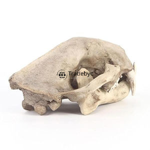 Figura esculpida de animales de resina Premium Tradebyd, pieza de arte decorativa hecha a mano única para decoración moderna del hogar - Product Image 6