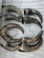 Corne à boire viking en buffle naturel de qualité supérieure à 100 % avec bordures en laiton et étuis en cuir à bas prix Agate