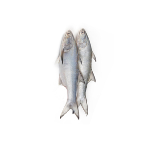 Filets de saumon kéta sauvage congelés de haute qualité frais et conservés dans la nature entiers avec tête et graisse emballés en vrac - Product Image 6