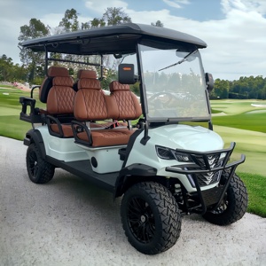 Carrito de Golf de Lujo de 2, 4 y 6 Plazas, Carrito de Golf Eléctrico Chino en Venta, 72V, Litio, Personalizado, Cómodo - Product Image 5