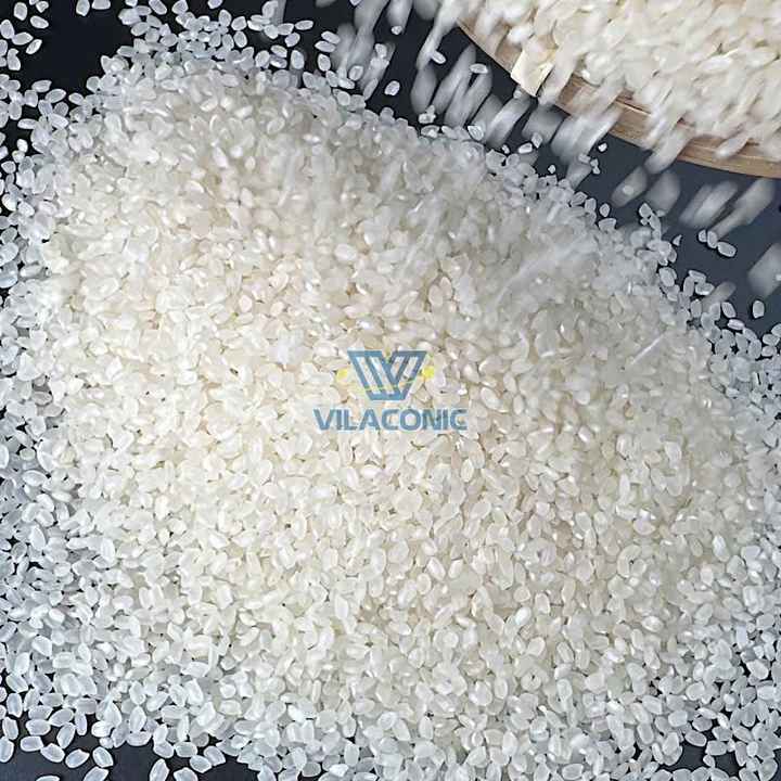High-Quality Japonica Short Grain Rice Wholesale Export for Sushi ...