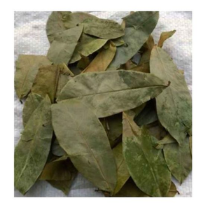 Hojas de Guanábana secas naturales, guanábana, mezcla de hierbas naturales, Hojas de Guanábana recién secas - Product Image 3