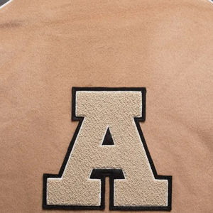 Chaqueta Varsity Personalizada para Hombre, Fabricada por OEM, Modelo 2025, Transpirable, Talla Grande, Cuello Alto, de Lona, para Invierno - Product Image 5