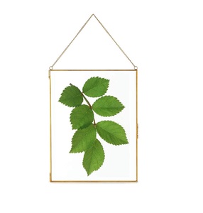 Brass Leaves <b>Design</b> <b>Wall</b> Decor Hanging <b>Frame</b> for Display for Home Living Room <b>Wall</b> Hanging Decorative Item - Product Image 6