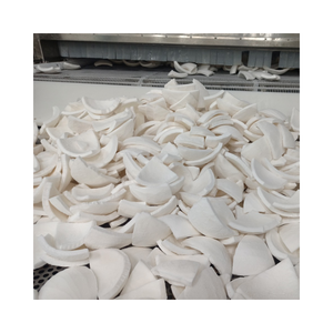 Tranches de morceaux de noix de coco congelées de vente chaude et processus IQF râpé pour boissons et collations emballées en vrac - Product Image 1