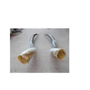 Paire de corne de buffle base en bois poli dessus de table décoratif corne de paire de buffle pour prix de gros - Product Image 5