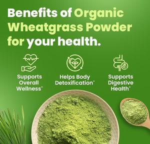 Pabrik grosir bubuk WheatGrass mentah bubuk jus rumput gandum organik hijau alami - Product Image 4