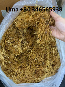 High Quality Wild-Crafted Irish Sea <b>Moss</b> Gold Purple Sea <b>Moss</b> From Vietnam Organic <b>Dried</b> Sea <b>Moss</b> in Bulk/ Lima - Product Image 6