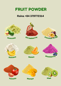 LECHE DE COCO EN POLVO SECA POR SPRAY-SABOR SUAVE Y NATURAL DE VIETNAM - Product Image 4