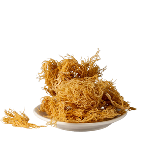High Quality Irish Sea <b>Moss</b> (Seamoss Gold-Purple) Ingredient for Special Recipes (Chondrus Crispus Seaweed) - Product Image 1