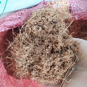 Bloc de cocopeat biologique, emballage personnalisé, taille 30x30x15cm, pour la culture des plantes - Product Image 2