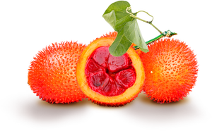 GAC ผงผลไม้100% GAC ผู้ผลิตจากเวียดนาม - Product Image 3