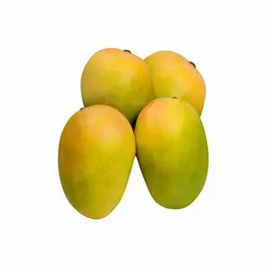 Rabattverkauf Großhandelspreis frische Mango süße und 100 % natürliche leckere goldene frische Frucht Mangos