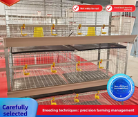 Cage à poulets en acier galvanisé à chaud de type H personnalisée pour élevage avicole avec une conception durable