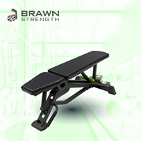 Banc de musculation réglable à charge libre Brawn Strength pour salle de sport, équipement de musculation OEM ODM