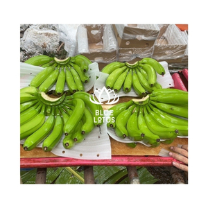 กล้วยคาเวนดิชแสนอร่อยสำหรับตลาดโลกเหมาะสำหรับทำอาหารเด็กและอาหารที่อ่อนโยนเพื่อความสบายในกระเพาะอาหาร - Product Image 1