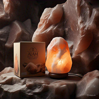 Lampe de sel de l'Himalaya biologique naturelle écologique de qualité supérieure, 8-10 kg, faite à la main, décoration d'intérieur, personnalisée, fleur, amour, Feng Shui