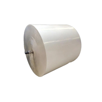 Clay White Paperboard with Grey Back Single Side PE Coating Duplex Board