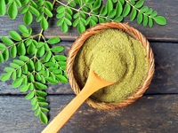 Bubuk Daun Kelor Premium Terlaris Bubuk Daun Kelor Murni Produsen India Grosir Harga Terbaik Ekstrak Tumbuhan
