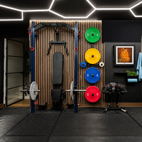 PINJIAN Rack de Squat Mural Pliable avec Barre Multi-Prises, Gym Compact Tout-en-un pour Usage Domestique