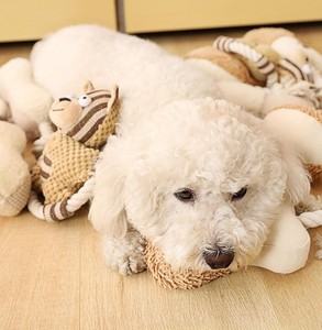 Juguete para perros con cuerda estética-Cuerda duradera para masticar juguetes para perros orgánicos - Product Image 2