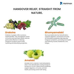 Tiras Orales para la Resaca con Cardo Mariano y Electrolitos para la Recuperación y la Hidratación - Product Image 4