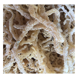 Mousse de mer irlandaise naturelle 100% fabriquée à l'état sauvage/mousse de coton Euchema de 99 GD prête à être expédiée en vrac - Product Image 6