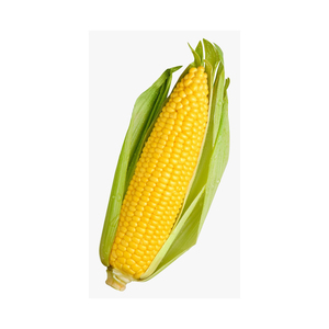 Granos de maíz amarillo seco de maíz amarillo natural de calidad superior a la venta - Product Image 2