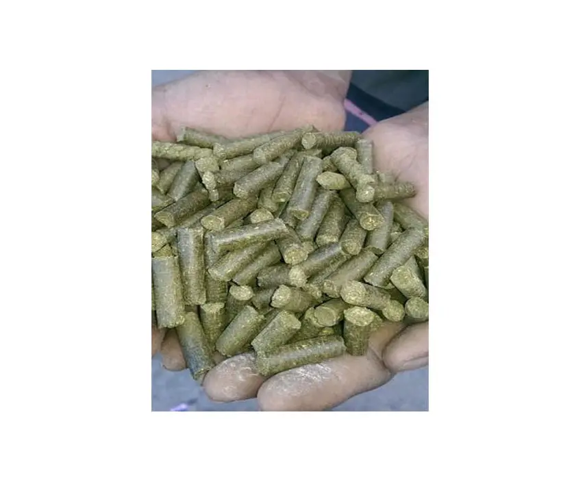 Высокое качество, пакистанские пышные зеленые влагоконтролируемые сено люцерны, большие тюки для продажи оптом