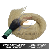 Kedatangan Baru Rambut Manusia Remy 100% untuk Ekstensi Micro-Link, Kualitas Tinggi, Warna Sesuai Pesanan, Kutikula Tertata Rapi