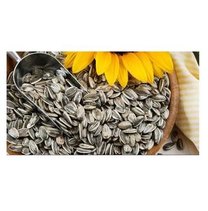 Graines de tournesol grillées, graines de tournesol grillées et frites 361/363/601 - Product Image 1