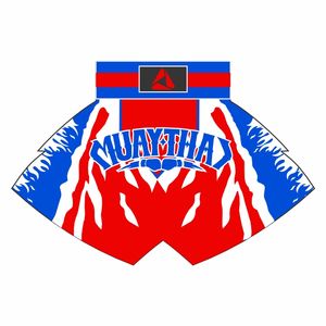 Venta caliente 2025 de alta calidad Muay Thia Shorts Boxing Short Custom MMA Factory Made Kickboxing Thai Shorts - Product Image 3
