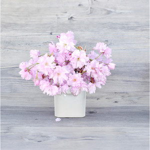 CRV3610WT - Medium White Tall Flat Portfolio <b>Vase</b> - 5 W x 2.8 L x 9.4 H - Product Image 4
