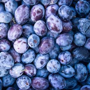 Prugnas Frescas Premium - Exportación Clase I - Variedades Victoria Morada Dulce y Diamante Negro - Alto Contenido de Brix 12%+ - Fruta con Semillas - Product Image 4