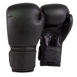 kick boxing Gloves - Product Image 1