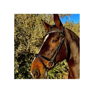 Fournisseur de produits pour chevaux Fabricant et exportateur en Inde Black Patent Snaffle Bridle Horse Bridle pliée pliante - Product Image 1