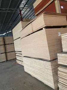 Bintangor/Okume/Superficie de eucalipto Madera contrachapada comercial Núcleo de madera dura Estilo de diseño moderno 1 año de garantía Uso en apartamento Vietnam - Product Image 4