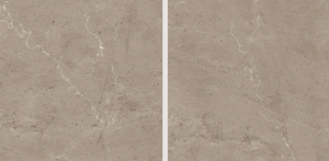 Alta demanda Lupin Bronce 600X600mm Azulejos de porcelana para tiendas minoristas y salas de exposición Restaurantes y cocinas comerciales - Product Image 2