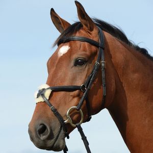 Bride de grackle surélevée rembourrée - Product Image 6