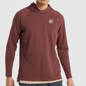 Sudadera con capucha de gimnasio para hombre Logotipo personalizado Mejor diseño 100% Algodón Streetwear para primavera Otoño Invierno Sudaderas con capucha masculinas personalizables - Product Image 1