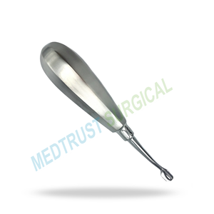 Elevador Dental Quirúrgico de Acero Inoxidable de 8 mm con Punta de Ala Curvada Internamente para Extracción de Dientes y Elevación de Raíces - Product Image 3
