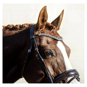 Un fournisseur indien propose une bride multifonctionnelle Lumiere Equestrian Anastasia Brown Leather Bridle Racing Western Horse Bridle à bas prix - Product Image 4