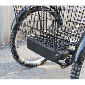 Triciclo Eléctrico Dorello L20 Modelo 36 Voltios, Transportador de Carga de Carrocería Abierta, Bicicleta Eléctrica con Capacidad de Carga de 100-200 kg - Product Image 2