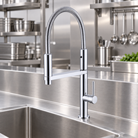 Robinet de cuisine télescopique WYRAX moderne en acier inoxydable 304 avec douchette céramique, deux positions eau chaude et froide, finition brossée
