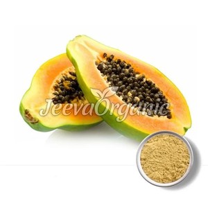 Jeeva Organic 100% Water Soluble Spray Dried Papaya Fruit Powder Instant Herbal <b>Extract</b> Food Grade in Drum Packaging - Product Image 3