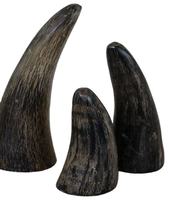 Personnalisé à vendre en vrac Buffalo/corne de vache et pointe de corne/OX qualité naturelle OX et corne de buffle de f s international